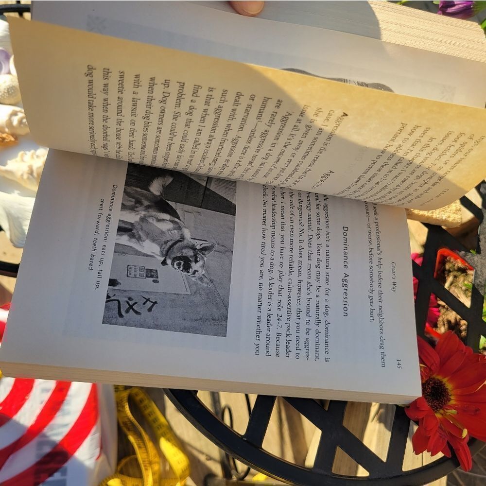 Cesar Millan Book‎ - Picture 7 of 8